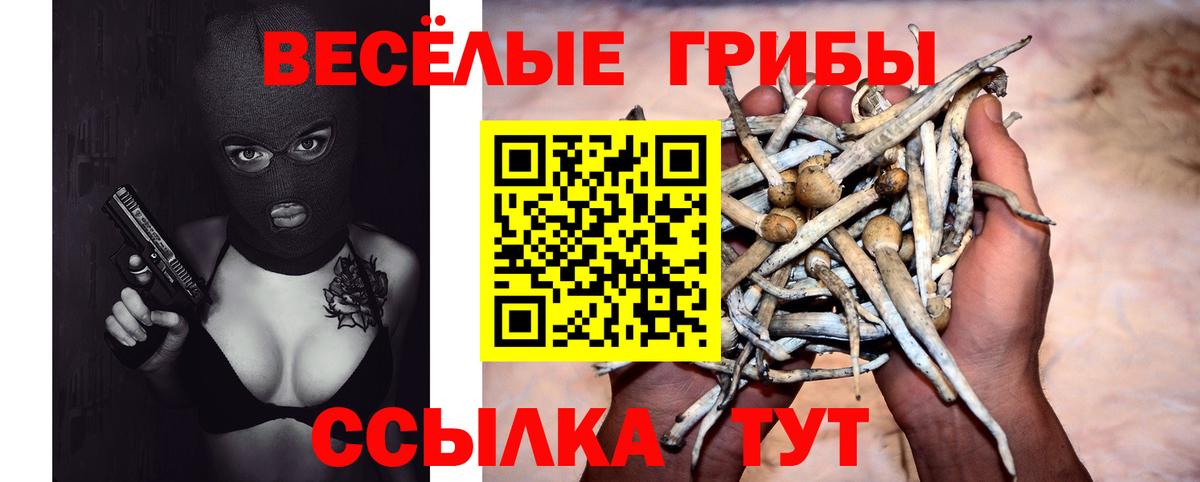 Псилоцибиновые грибы мухоморы Вологда