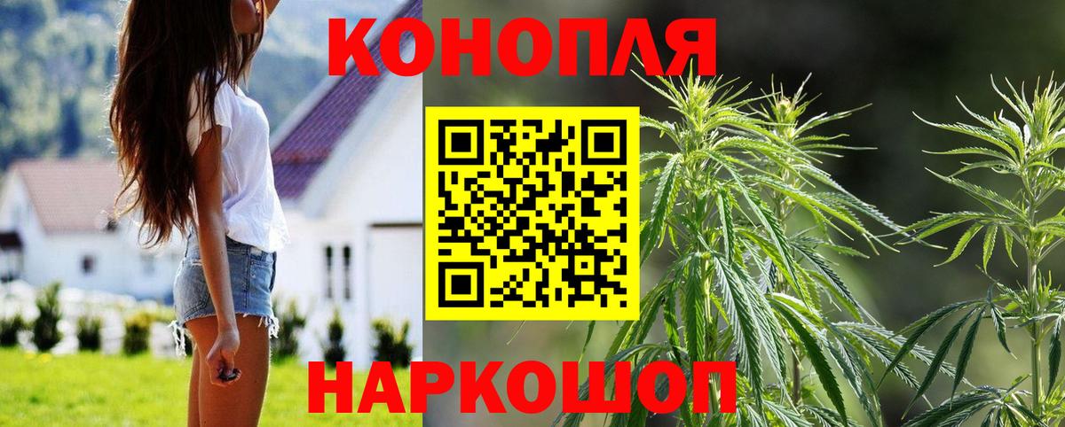 Бошки марихуана THC 21%  Бошки марихуана тримм  Вход с VPN  Бошки марихуана LSD WEED  Вологда 